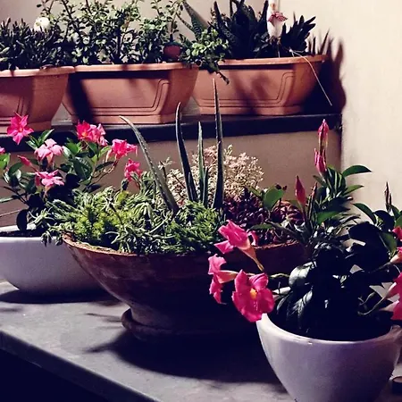 Bed & Breakfast Borgo Antico Foggia